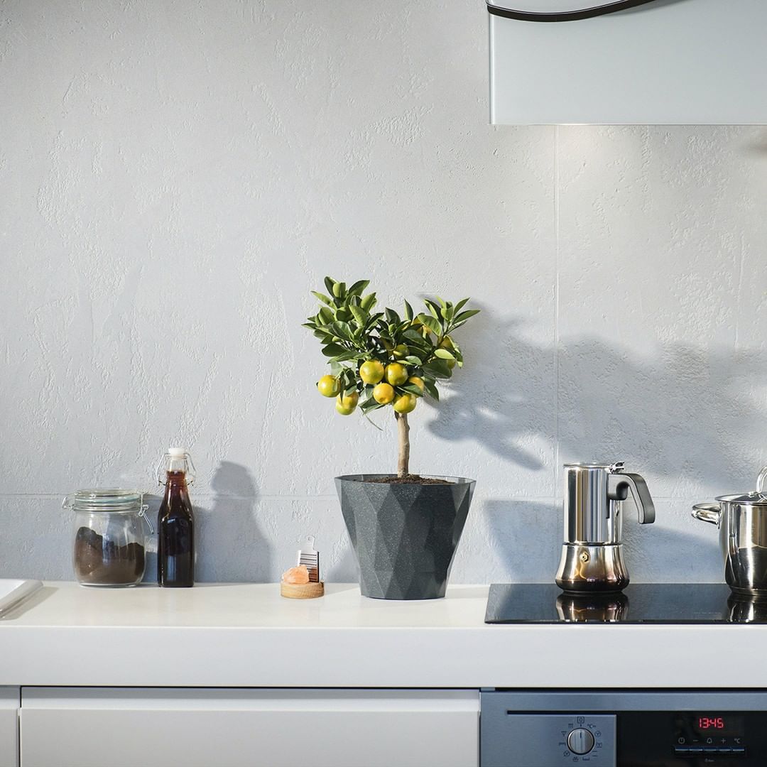 Rivsalt ORIGINAL - Salzreibe - Himalaya-Salz - BBQ-Erlebnis